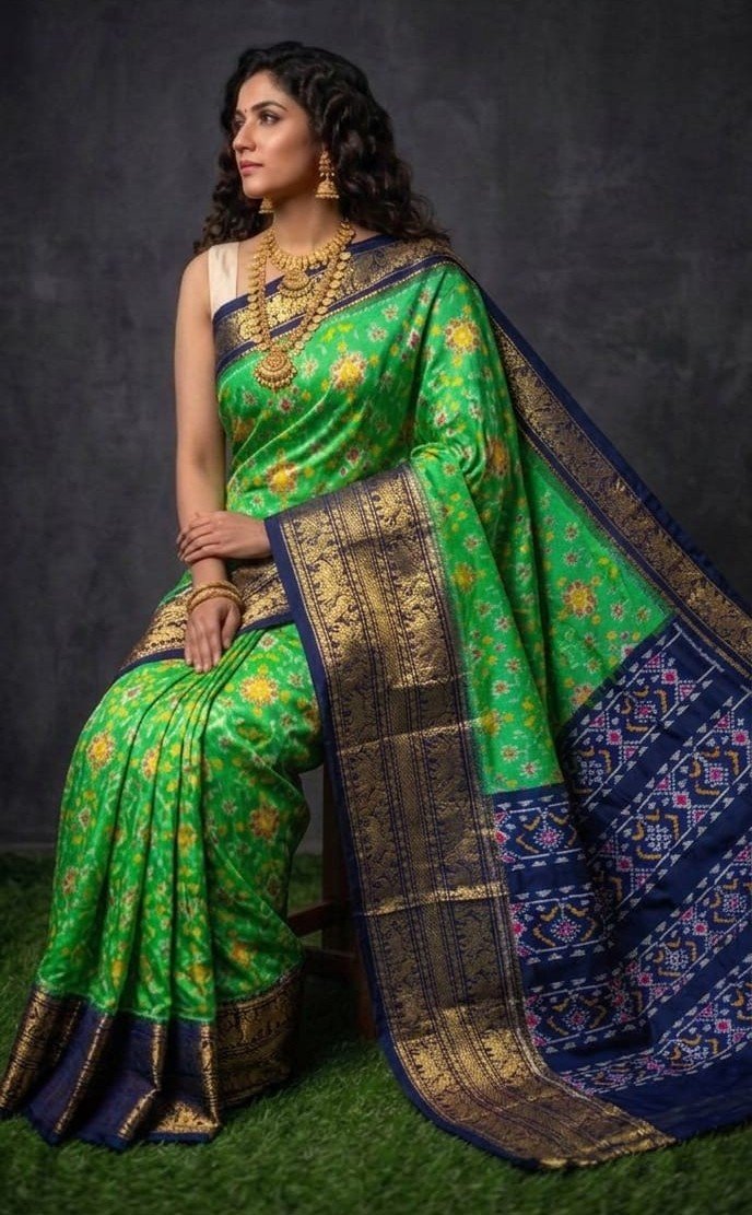 Kanchi Border Ikat - PDLSY23-KBIPIDBDC-11